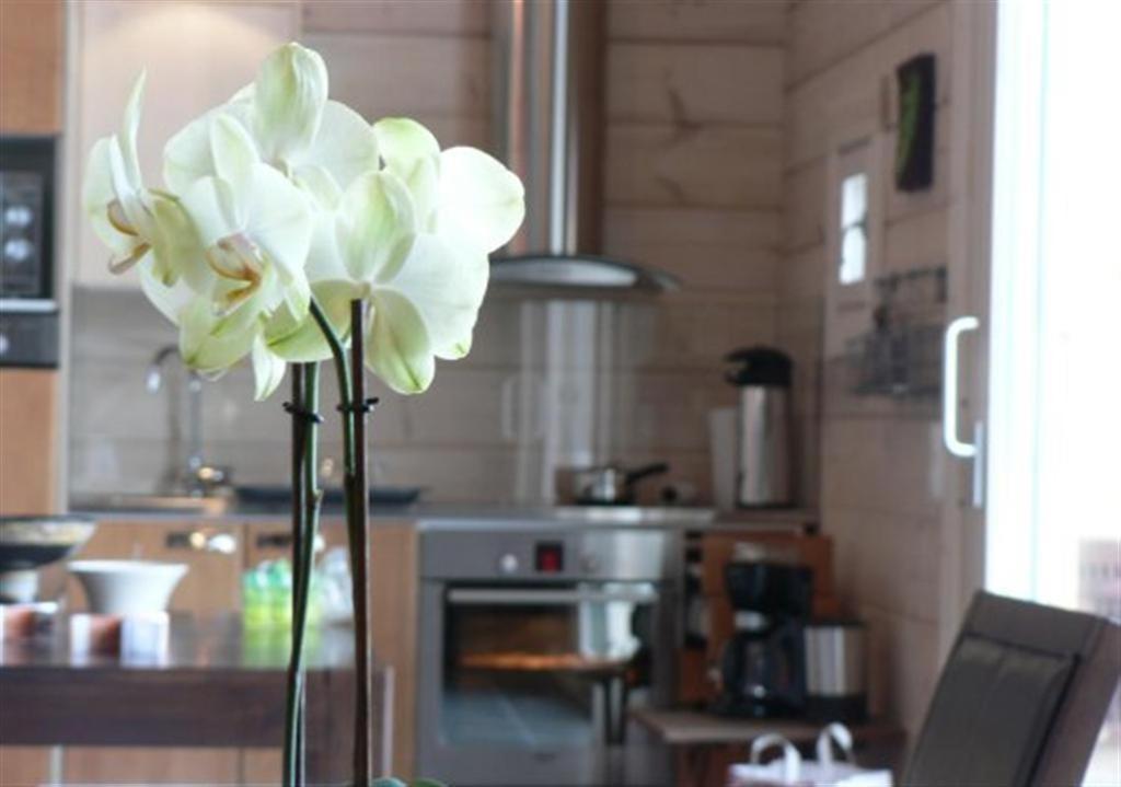 Koitelin Residenssi Villa Oulu Bagian luar foto